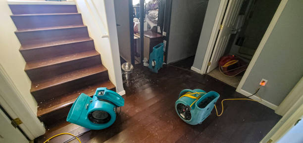 Best Local water damage restoration  in Julian, CA