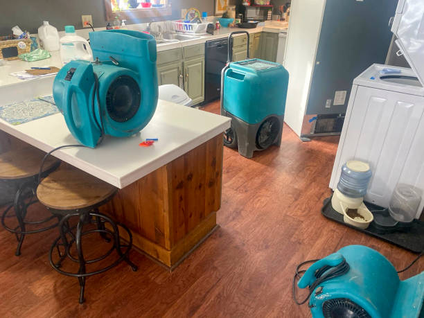 Best Water damage mitigation services  in Julian, CA