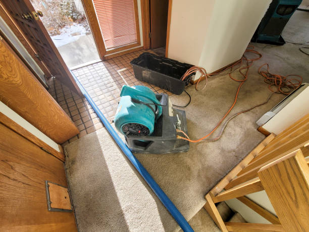 Best Flood damage cleanup  in Julian, CA