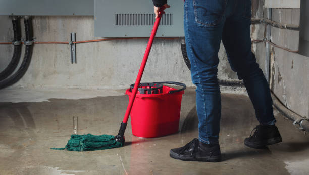 Reliable Julian, CA Water damage restoration Solutions