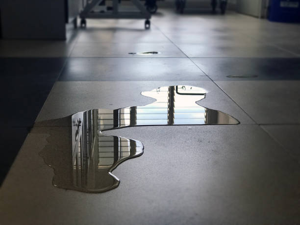 Best Emergency water damage restoration  in Julian, CA
