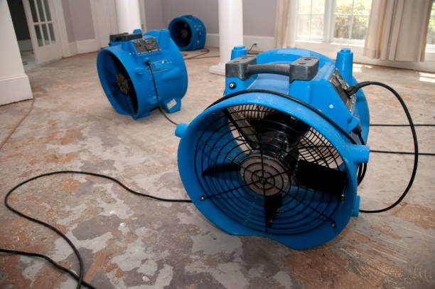 Professional Water damage restoration in Julian, CA