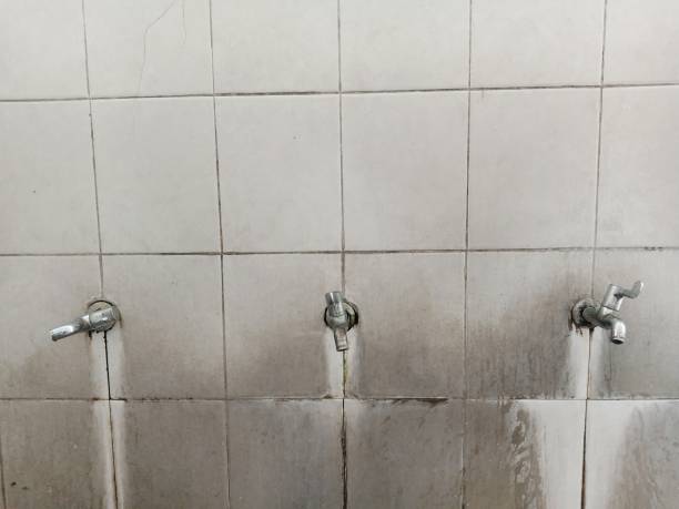 Best Basement water damage restoration  in Julian, CA