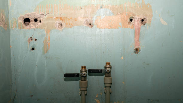 Best Flooded house restoration  in Julian, CA