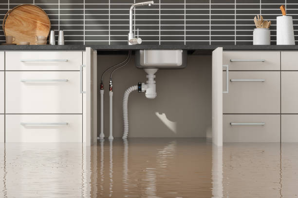 Best Residential water damage restoration  in Julian, CA