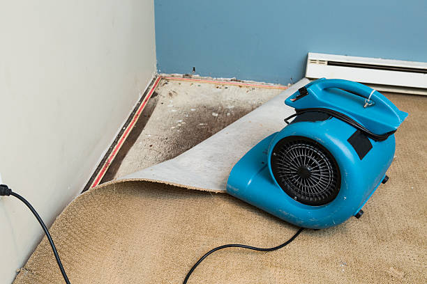 Best Flood damage cleanup  in Julian, CA